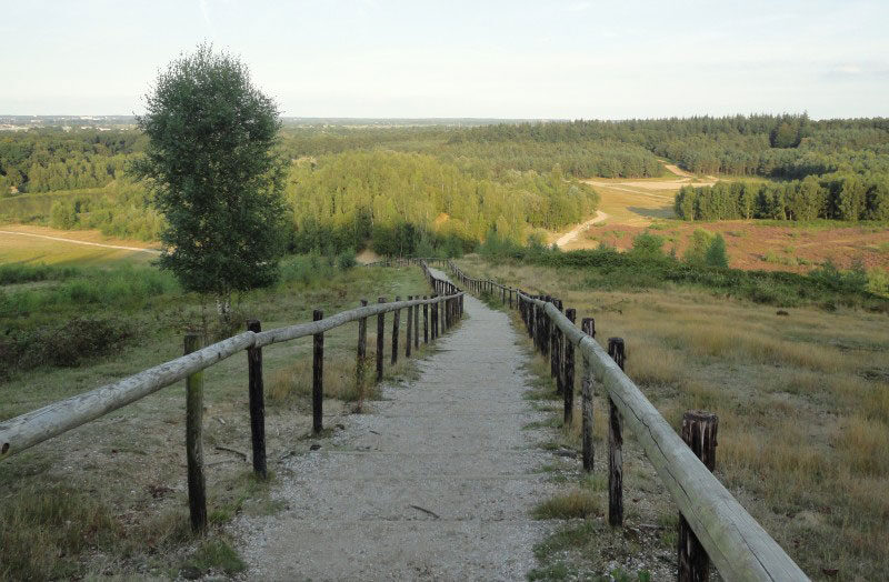 Nationaal Park Utrechtse Heuvelrug - wandelen Langbroek