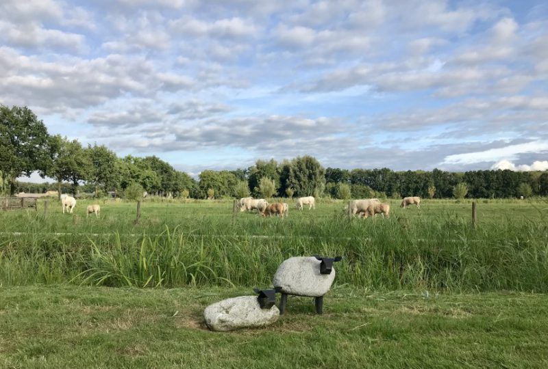 Uitzicht Jans B&B in Langbroek Het uitzicht vanaf Jans Bed en Breakfast in Langbroek