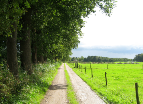 Wandelen in Langbroek