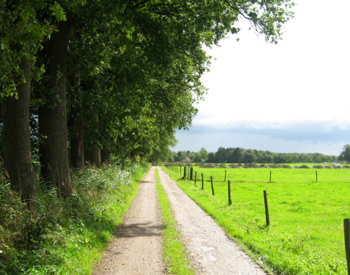 Wandelen in Langbroek Wandelen in Langbroek