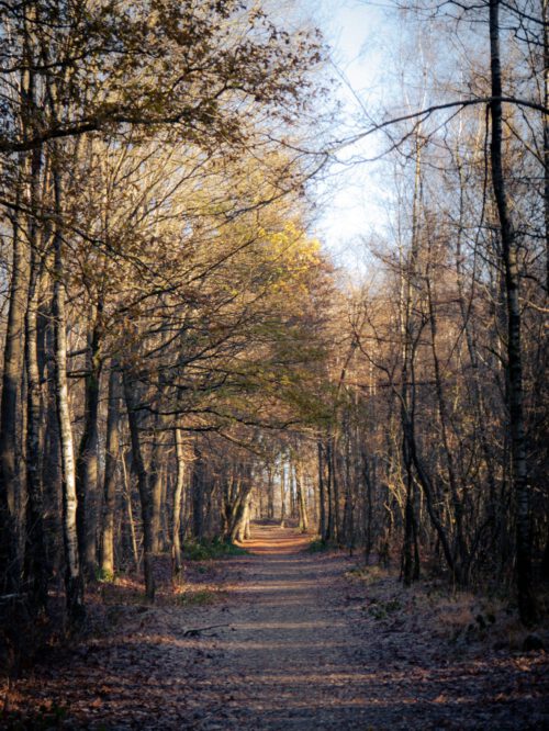 Fietsen in Langbroek en omgeving