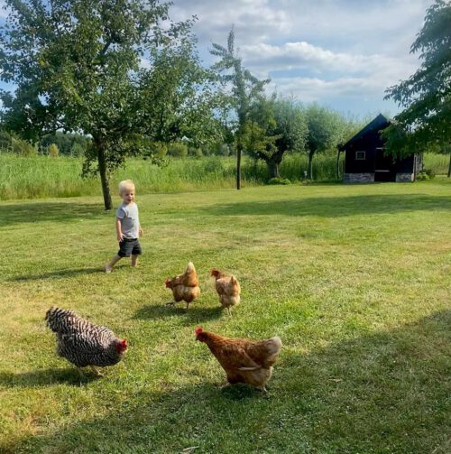 Kindvriendelijke B&B - Bezoek Jans Bed en Breakfast in Langbroek met kinderen